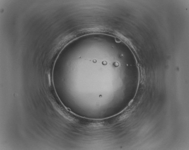 X0000074320061200609011548