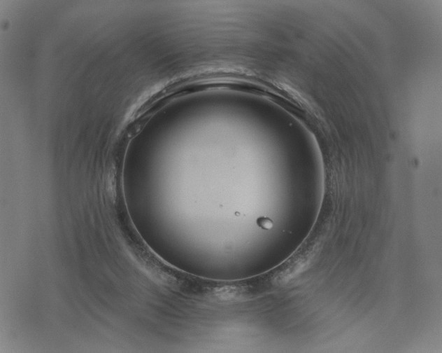 X0000074320064200609011548