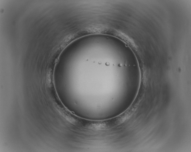 X0000074320065200609011548