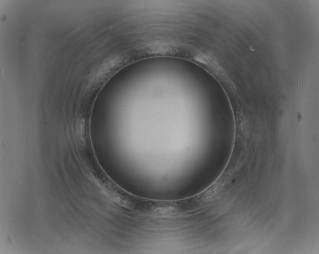 X0000074320066200609011548