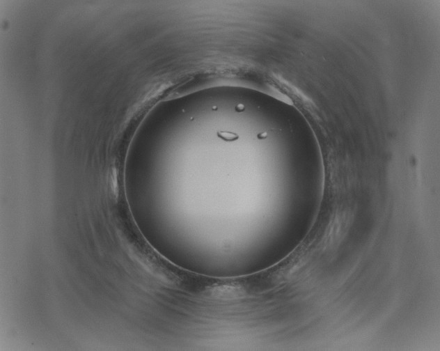 X0000074320067200609011548