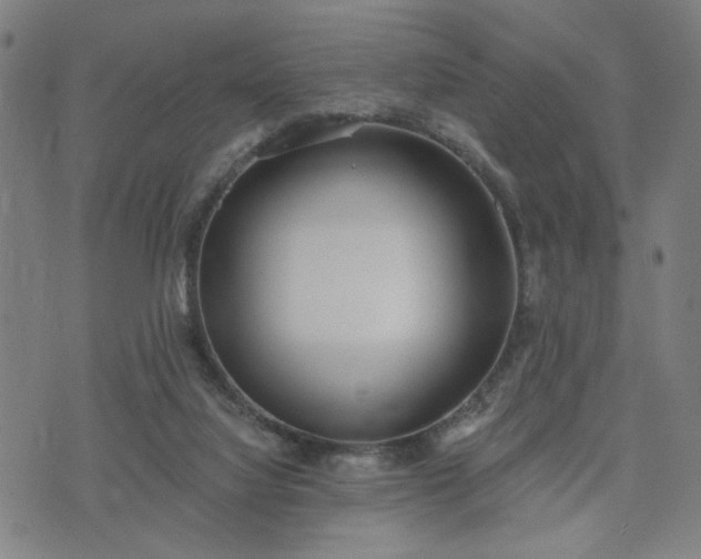 X0000074320068200609011548