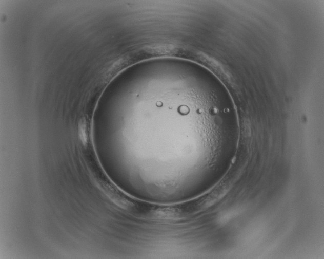 X0000074320069200609011548