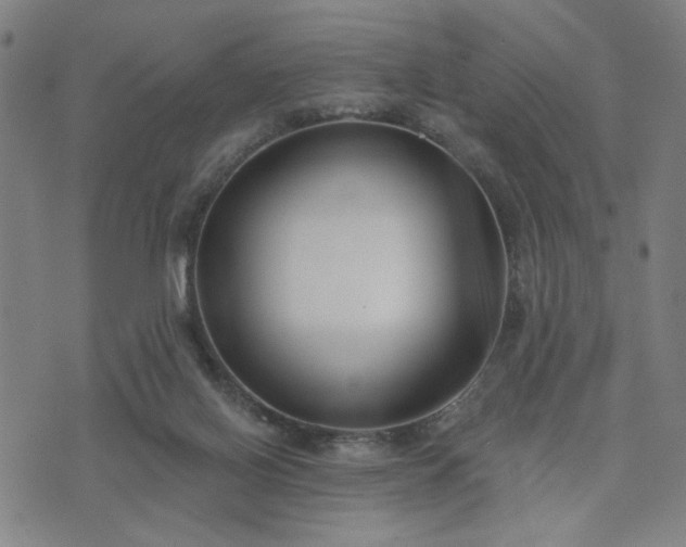 X0000074320070200609011548