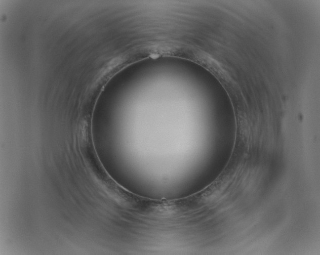 X0000074320071200609011548