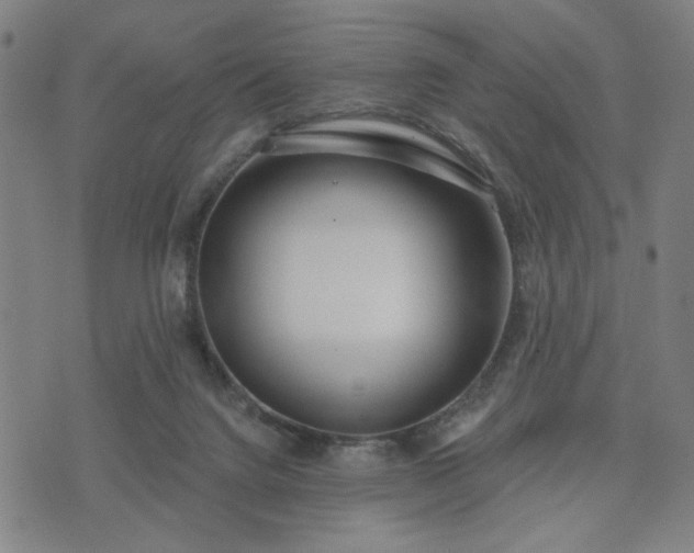 X0000074320072200609011548