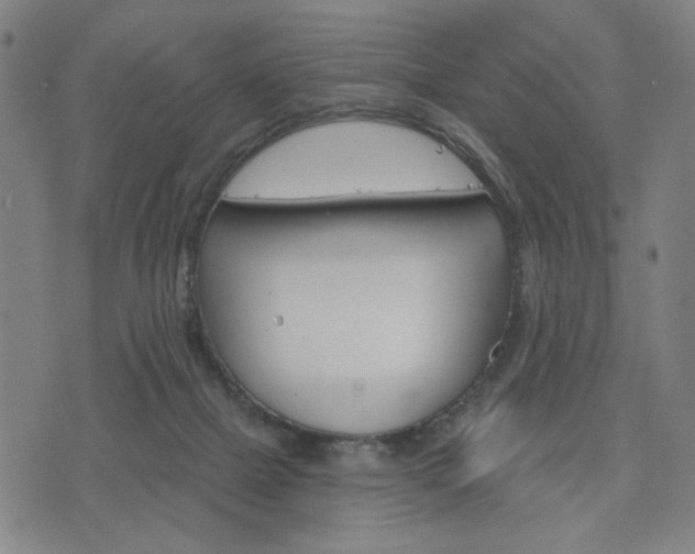 X0000074320073200609011548