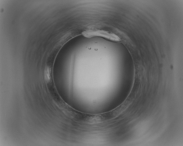 X0000074320075200609011548