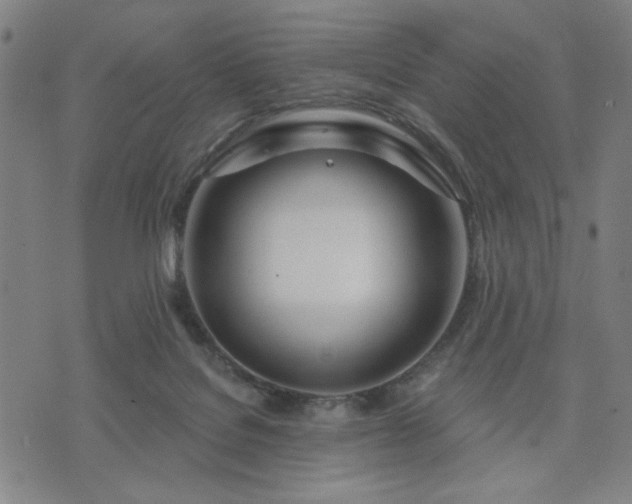 X0000074320076200609011548