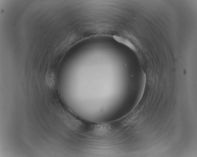 X0000074320077200609011548