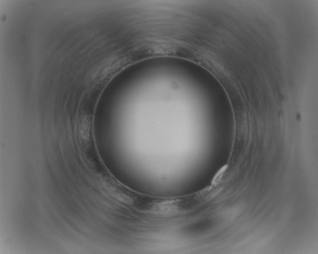 X0000074320078200609011548