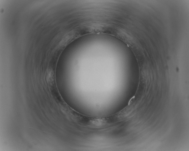 X0000074320079200609011548