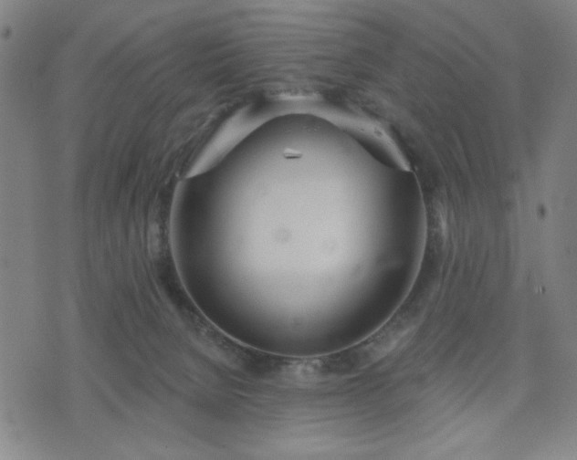 X0000074320080200609011548