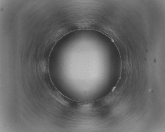 X0000074320081200609011548