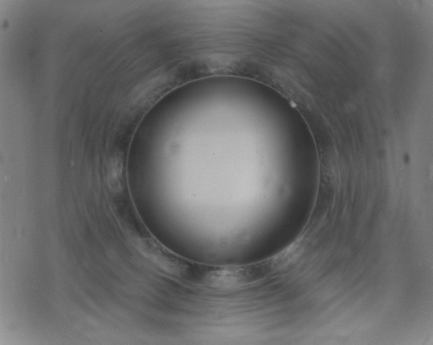 X0000074320082200609011548