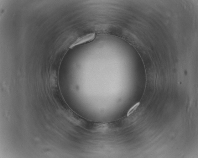 X0000074320083200609011548