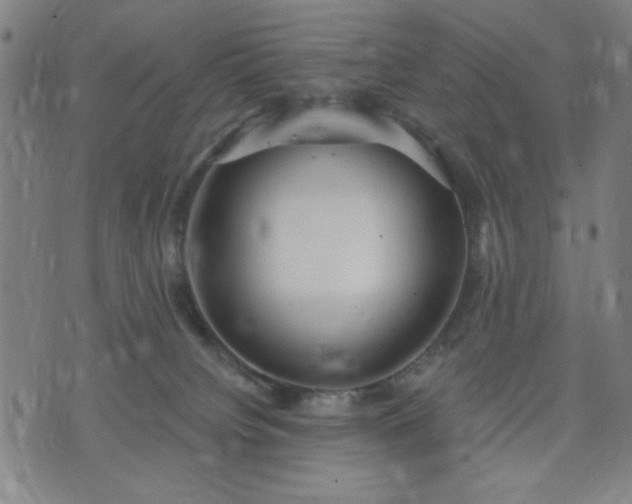 X0000074320084200609011548