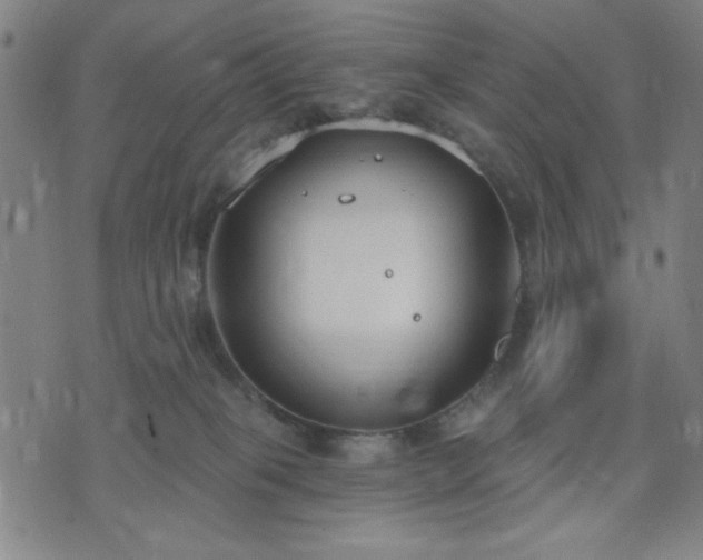 X0000074320085200609011548