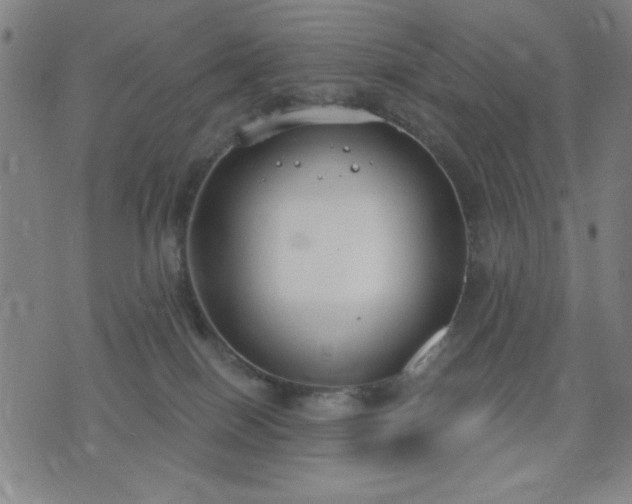 X0000074320086200609011548