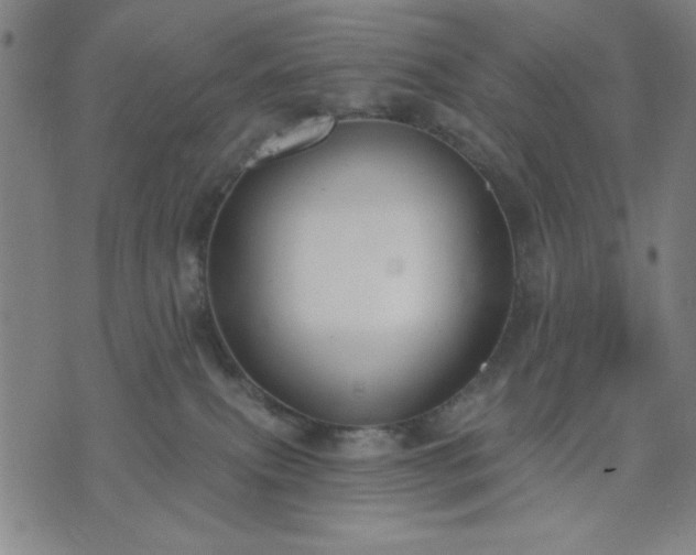 X0000074320087200609011548