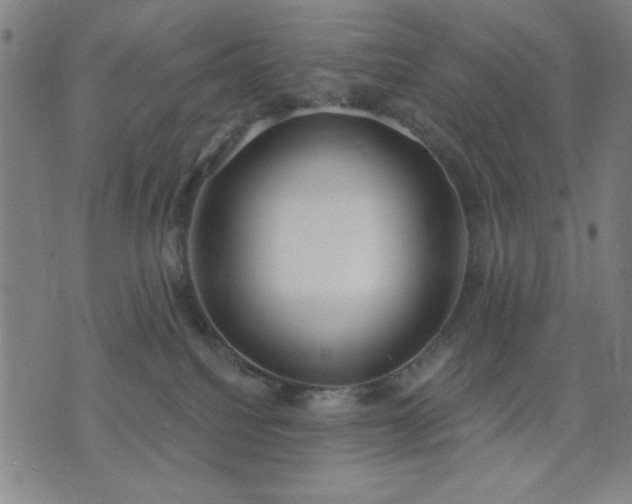 X0000074320088200609011548