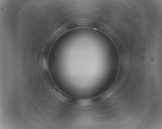 X0000074320089200609011548