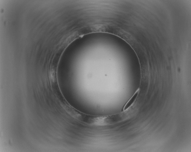 X0000074320090200609011548