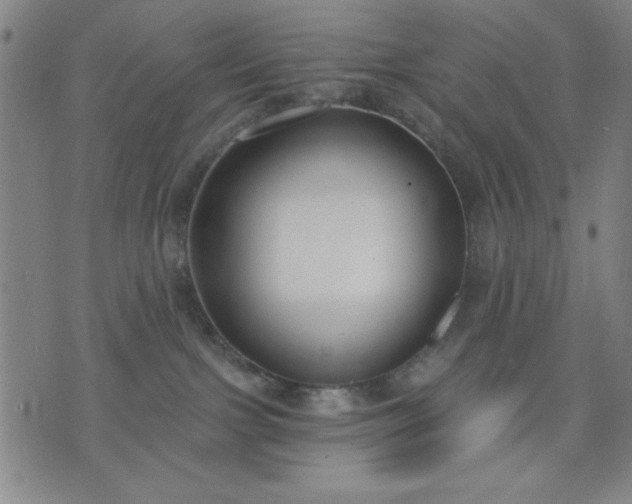 X0000074320091200609011548