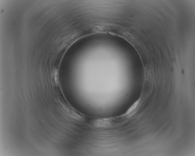 X0000074320094200609011548