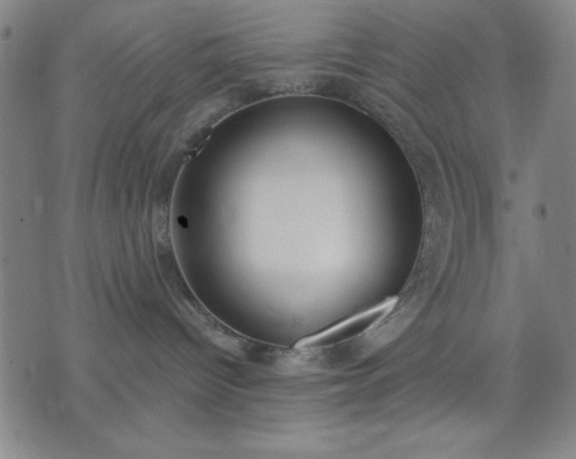 X0000074320096200609011548