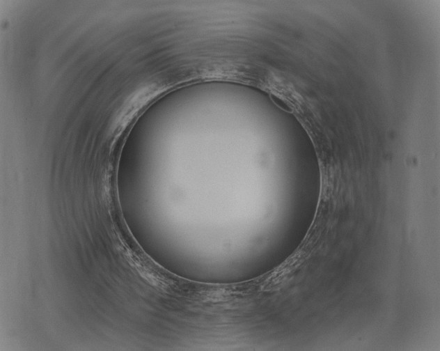 X0000074320098200609011548