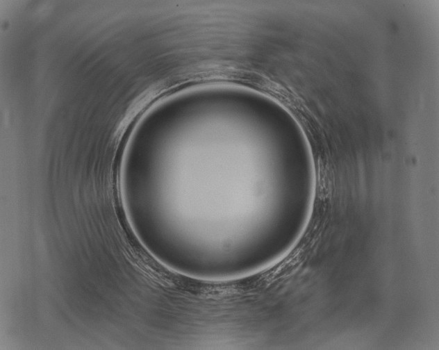 X0000074320099200609011548