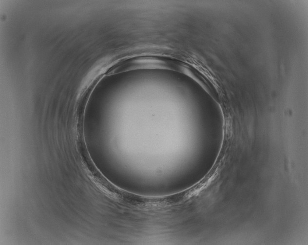 X0000074320101200609011547