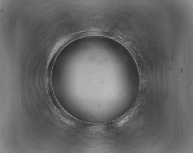 X0000074320102200609011547