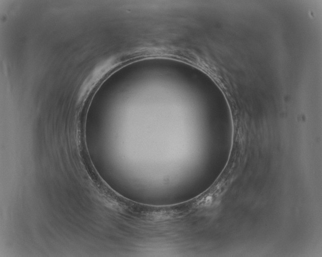 X0000074320103200609011547