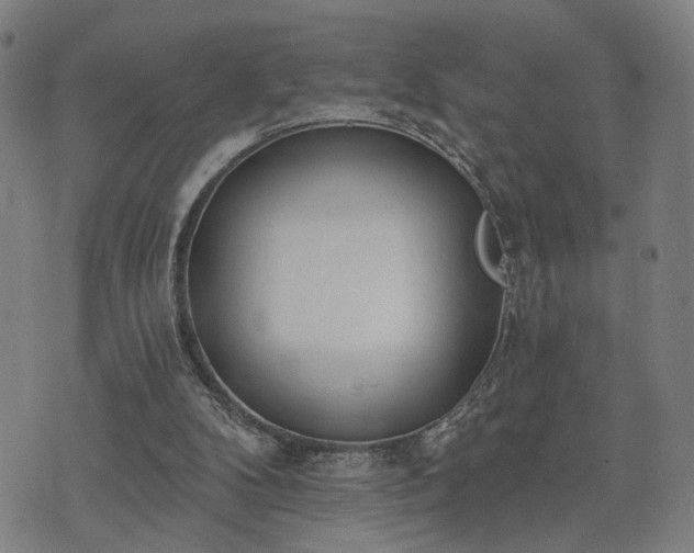 X0000074320104200609011547