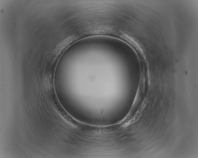 X0000074320105200609011547