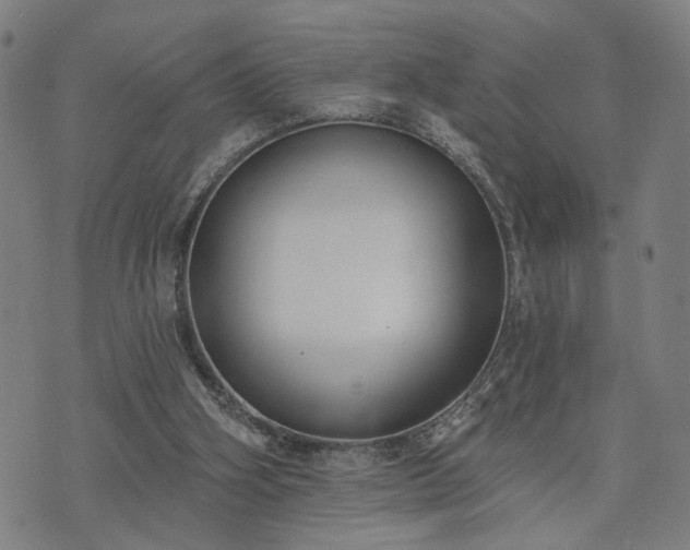 X0000074320106200609011547