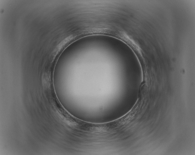 X0000074320107200609011547