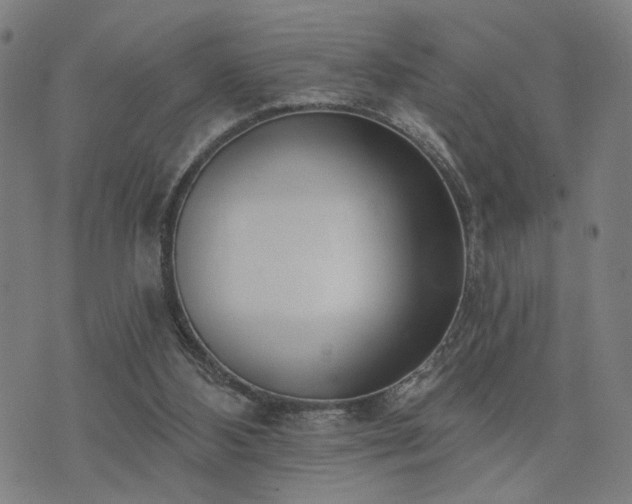 X0000074320108200609011547