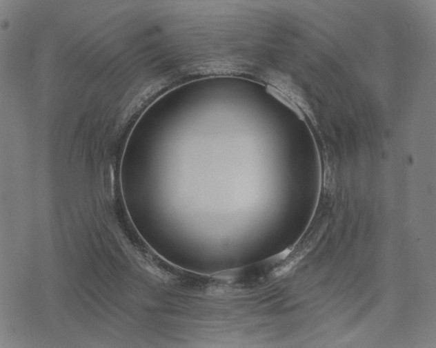 X0000074320109200609011547