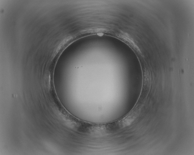 X0000074320110200609011547