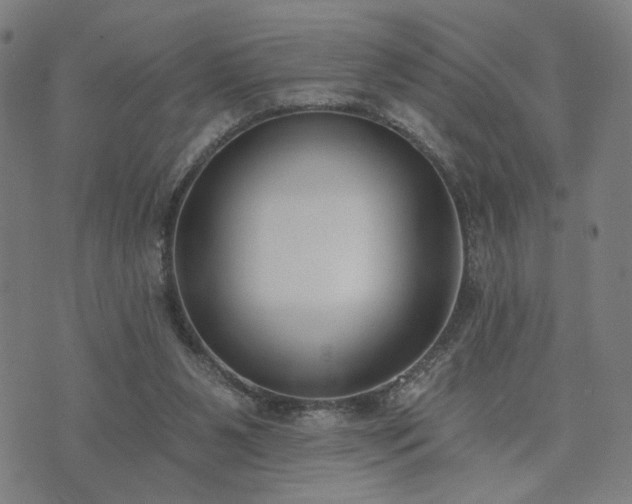 X0000074320111200609011547