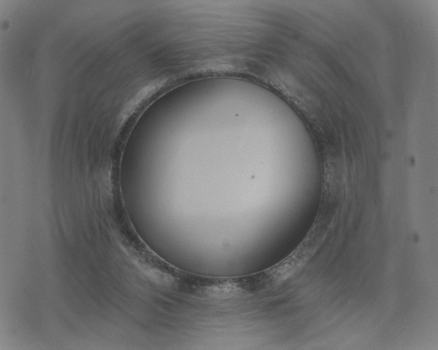 X0000074320112200609011547