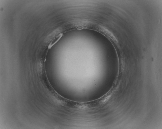 X0000074320113200609011547