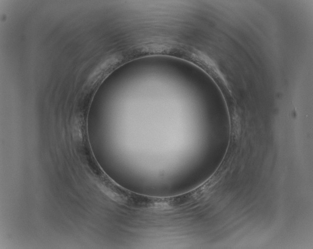 X0000074320114200609011547