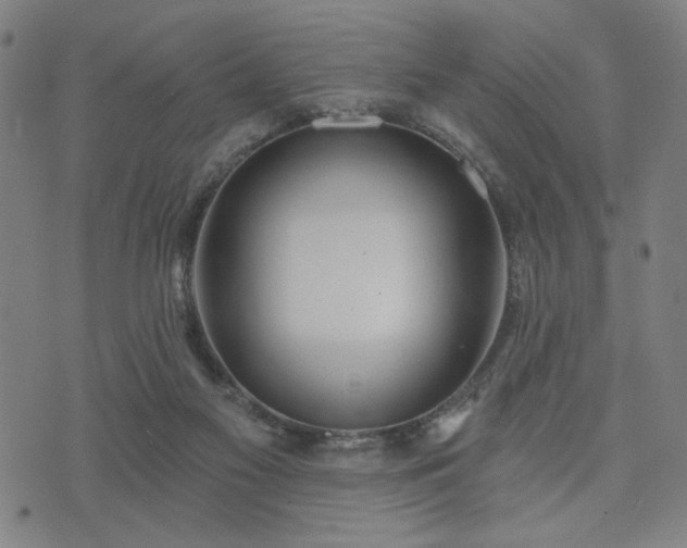 X0000074320117200609011547