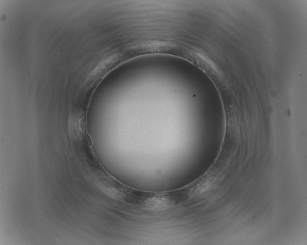 X0000074320119200609011547