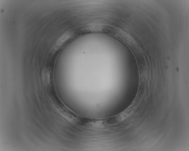 X0000074320120200609011547