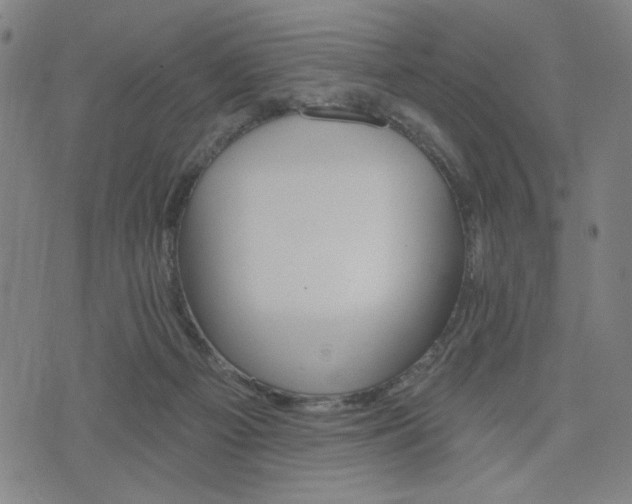 X0000074320121200609011547